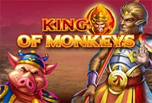 RTP Playngo mejawin33